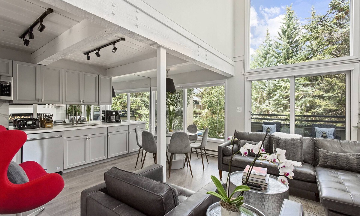 Aspen Condo | 3 Bed/3 Bath In Town Aspen Luxury King & 2 Queen Bed W/D AC Parking Balcony Wifi