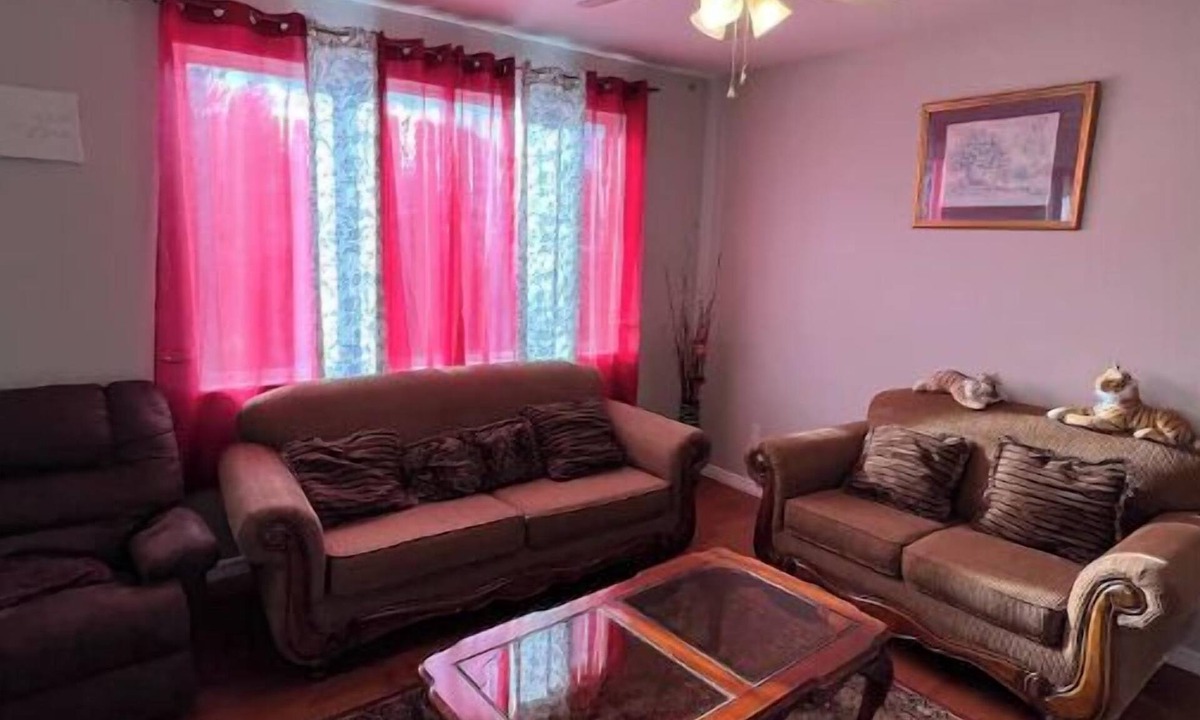 Colorado Springs House | 3 bedroom house 5 minutes away from the airport in Colorado Springs all for you.