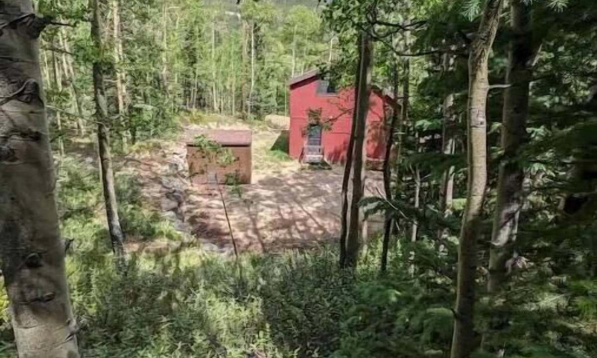 Alma House | Alma Family Getaway! 13 Miles to Breck! Starlink!