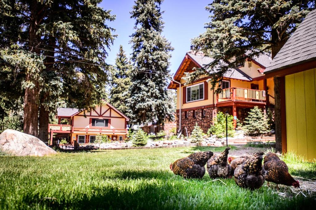 Evergreen Cabin | Alpen Way Chalet Mountain Lodge