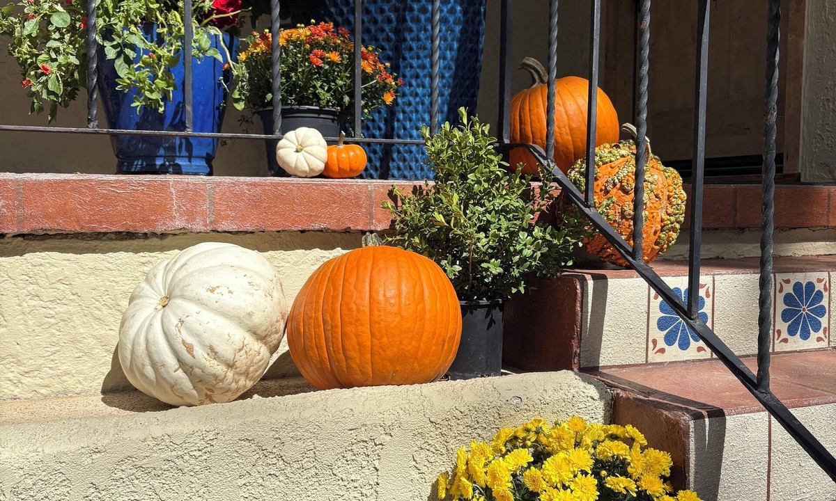 Central Colorado Springs House | Aspen leaves and porch pumpkins! Welcome to your mini-fall-escape vacation!