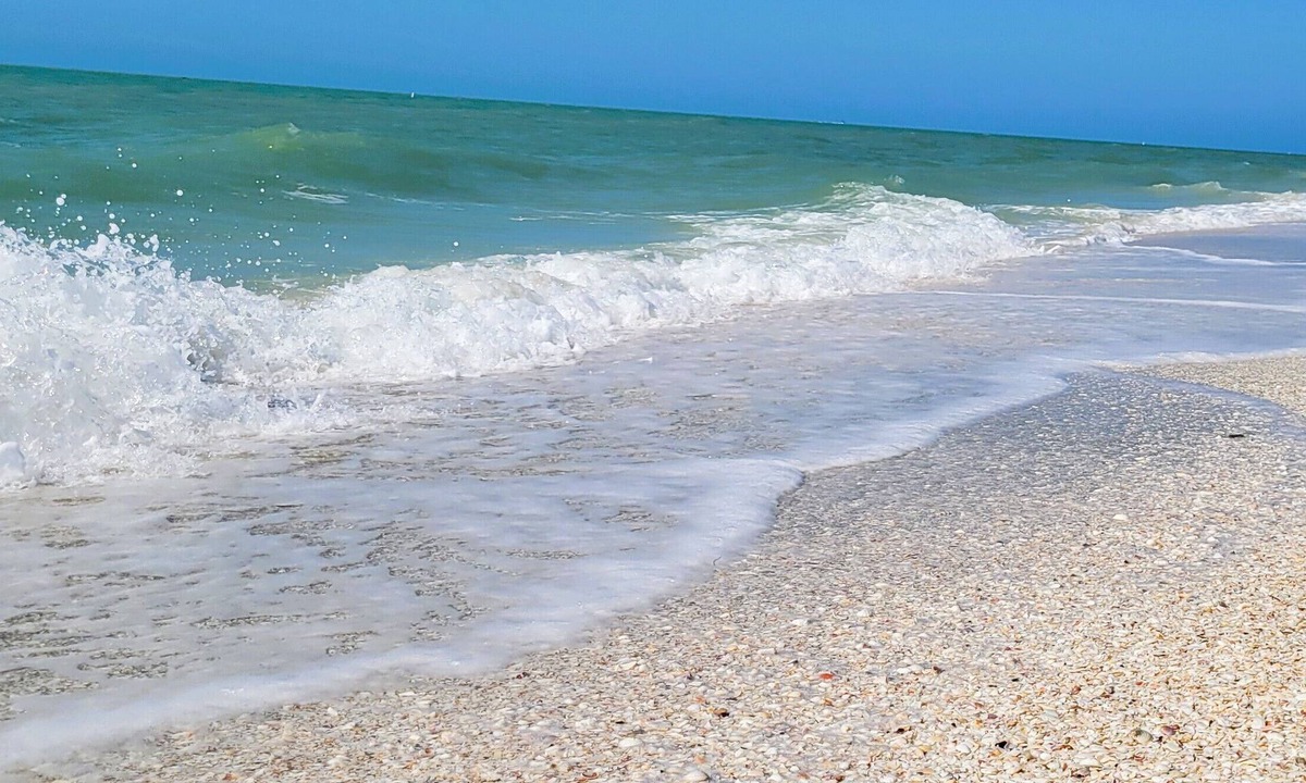 Beachview Country Club Estates Condo | Beachfront Bliss, Welcome to your dream escape!