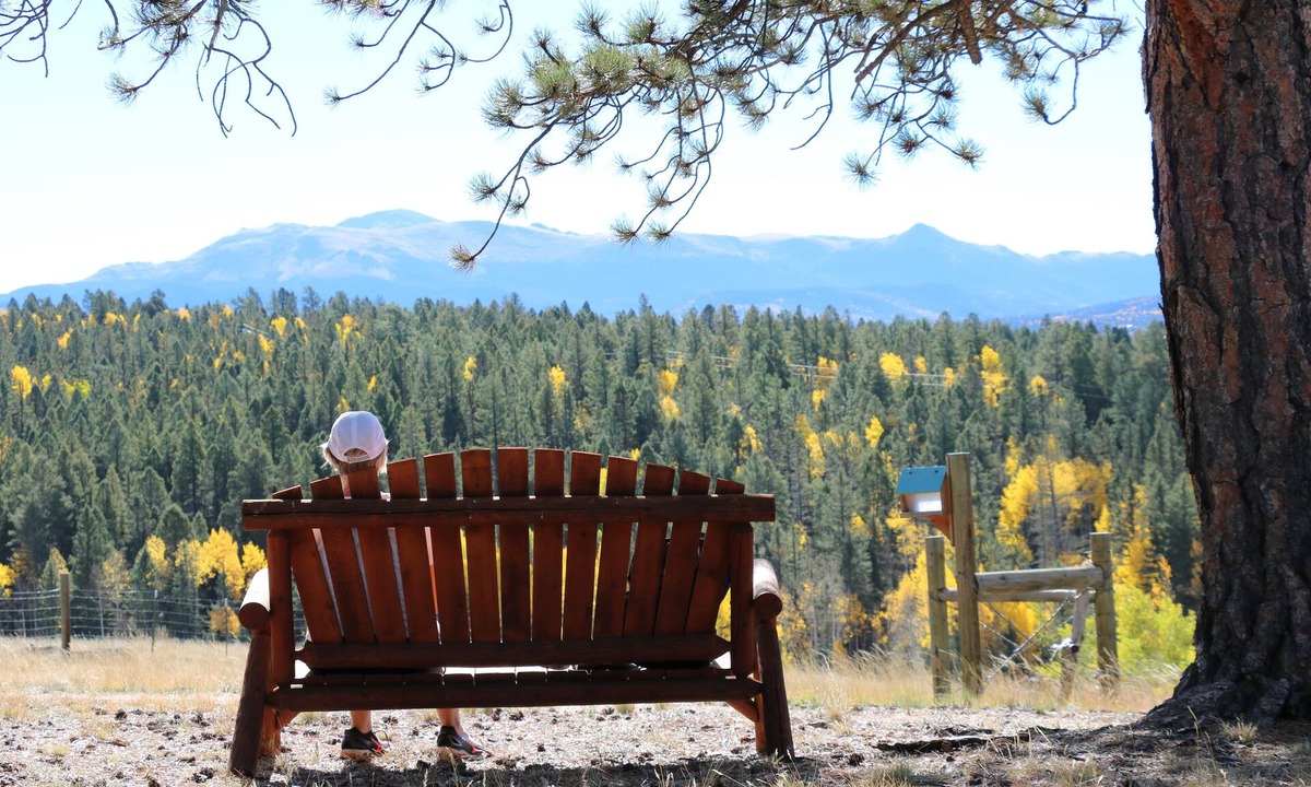 Divide Cabin | Beautiful and peaceful Cabin on 35 Acres!