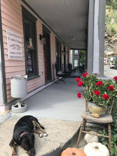 Georgetown Bed & Breakfast | Bed and breakfast ∙ 2 guests