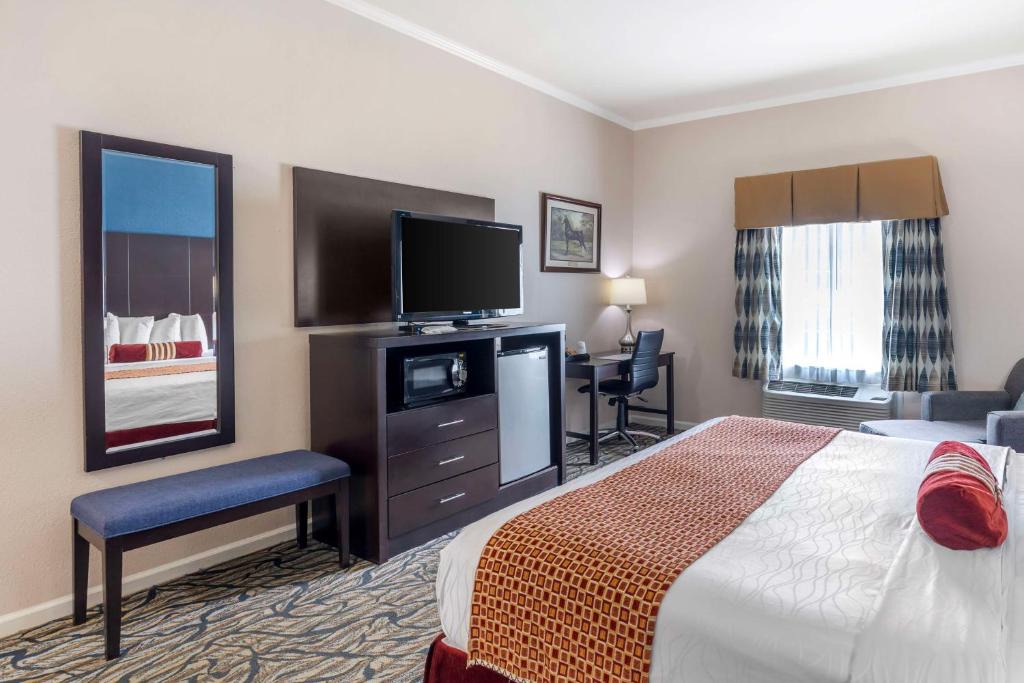 Spring Hill Hotel | Best Western Spring Hill Inn & Suites