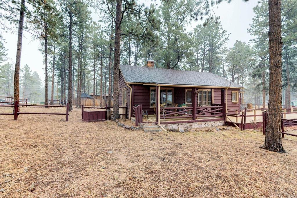 Woodland Park House | Big Bear Cabin