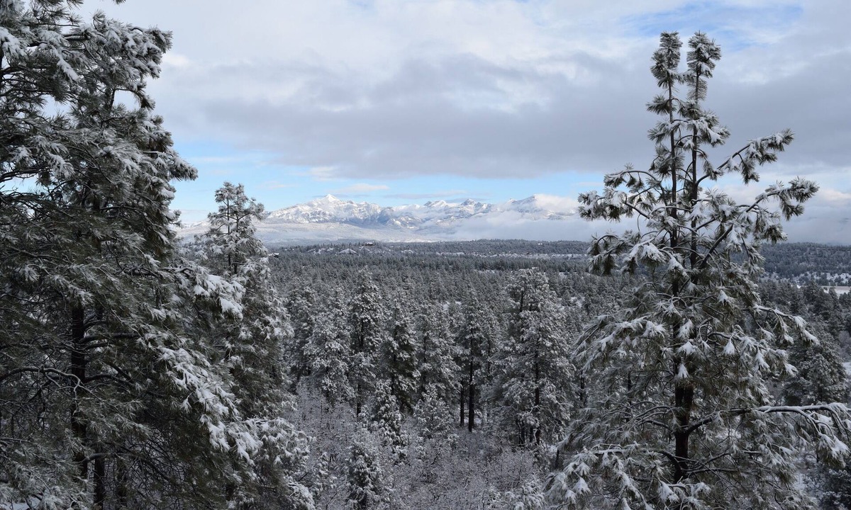 Pagosa Springs House | Breathtaking Panoramic Views, 5 Bedroom, 3 Level Home Close to Town on 5 Acres