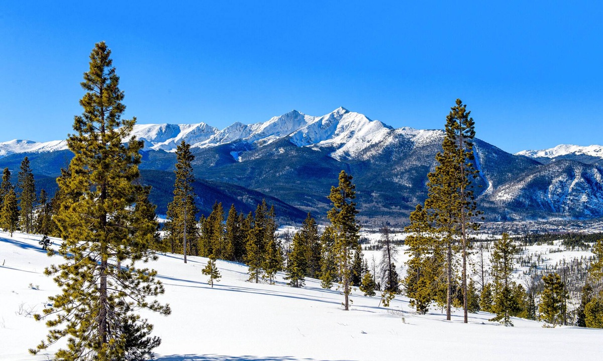 South Fork Cabin | Cabin with WiFi, home comforts, & shared grill - dogs welcome