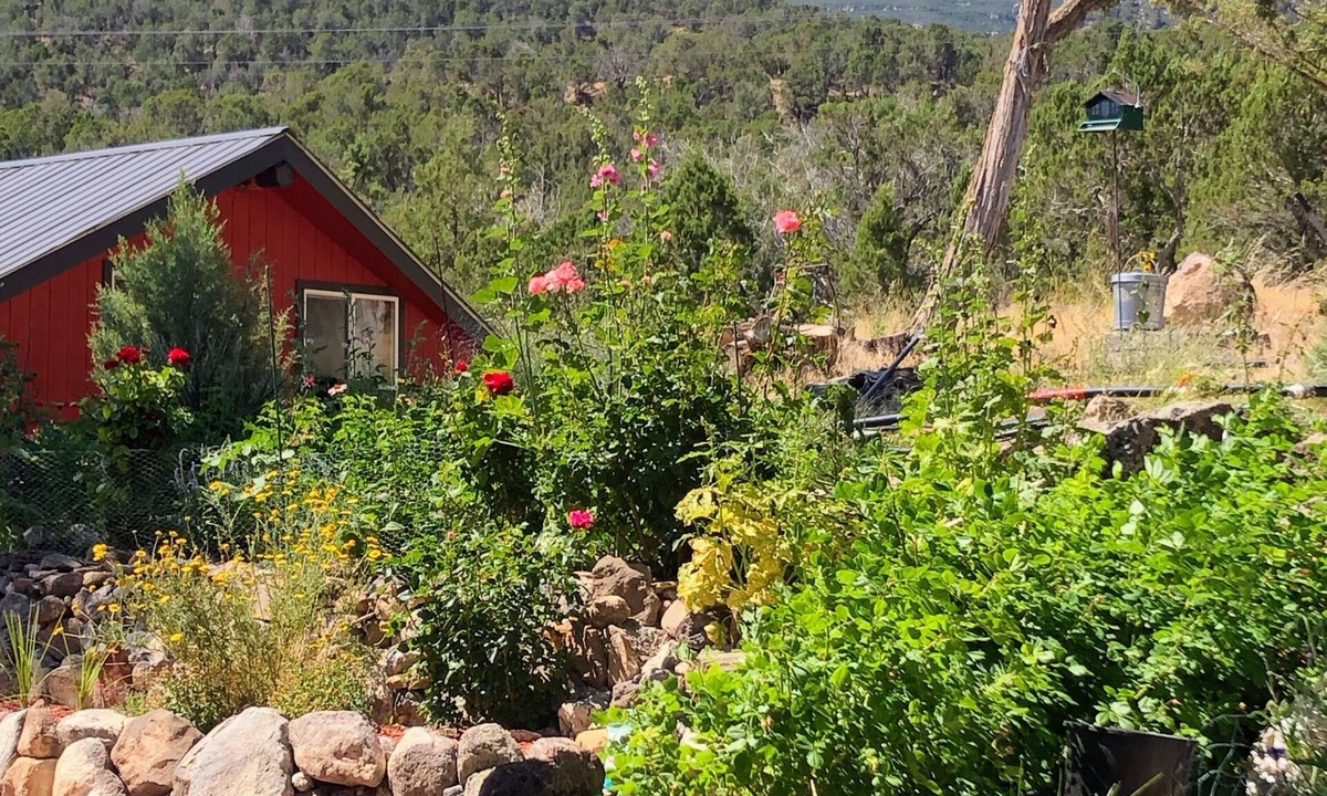 Paonia House | Charming guesthouse with panoramic views!