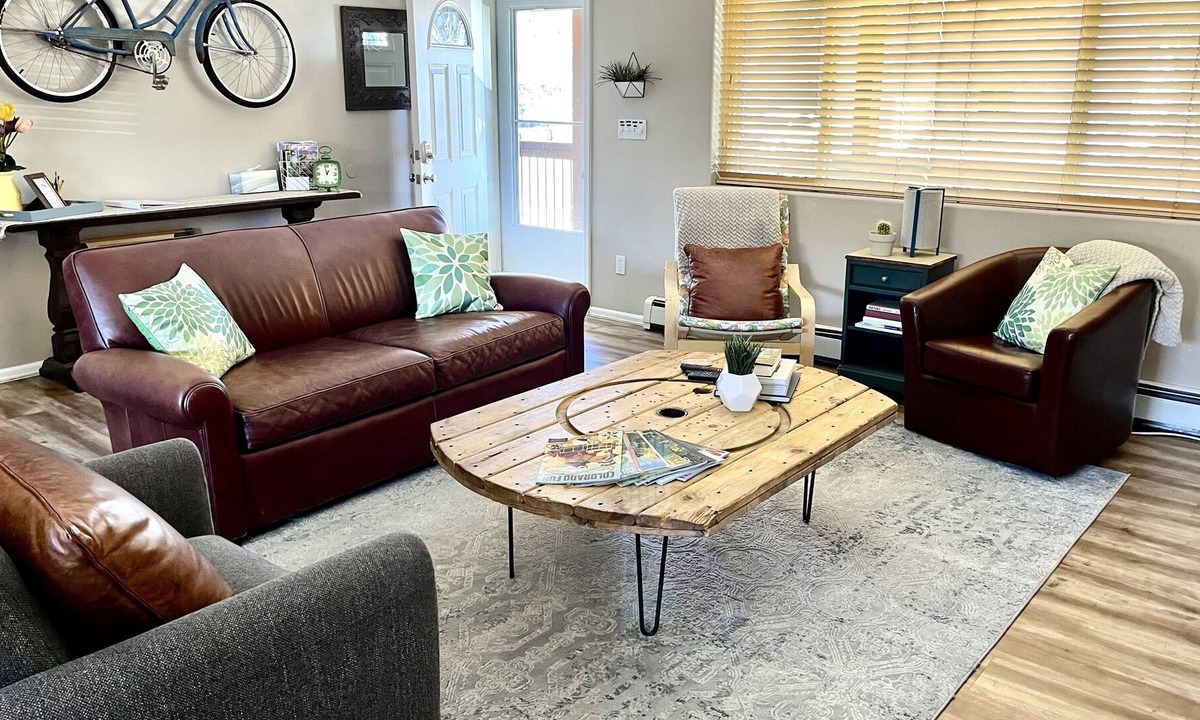 Buena Vista House | Charming in town Villa *In-Town*dog friendly, trails, skiing STR-010