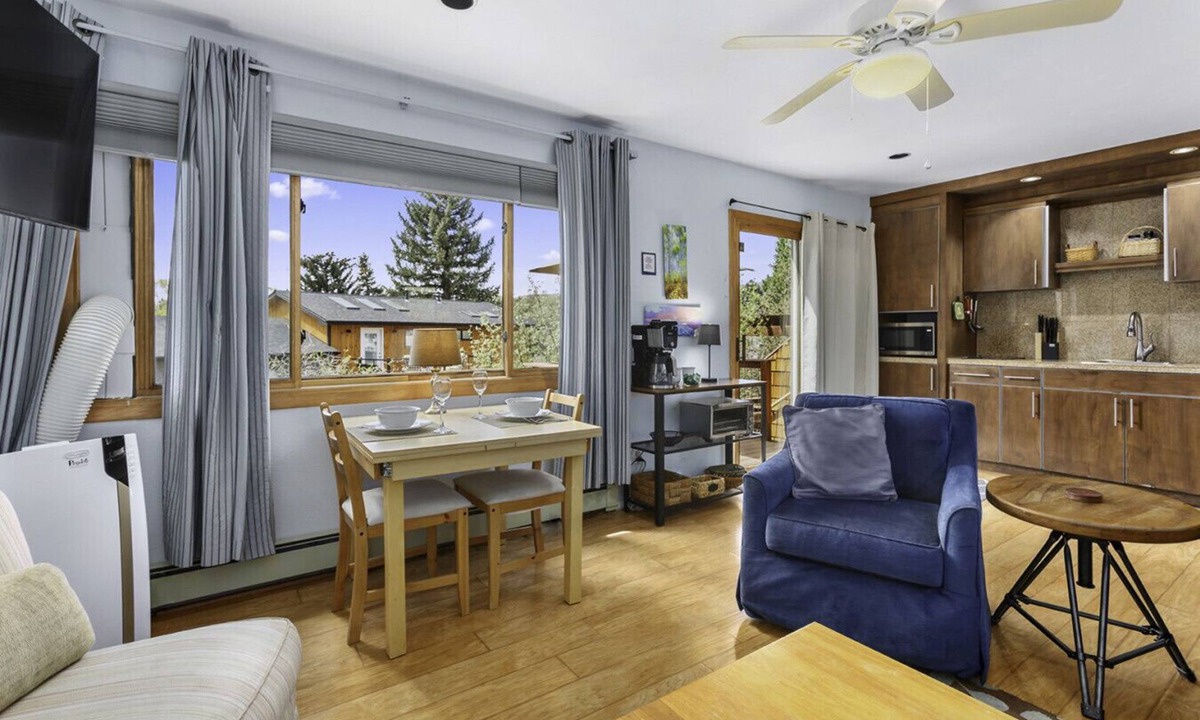 Carbondale Apartment | Charming Studio with Mtn.Views,Walk to Dwntwn