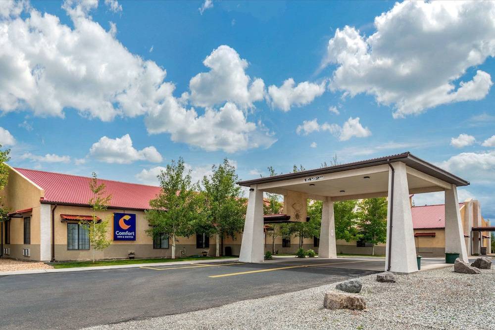 Alamosa Hotel | Comfort Inn & Suites Alamosa