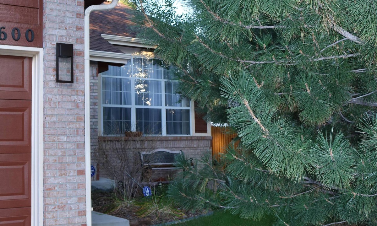 Aurora Highlands House | Cozy & Stylish Walkout Basement Apartment