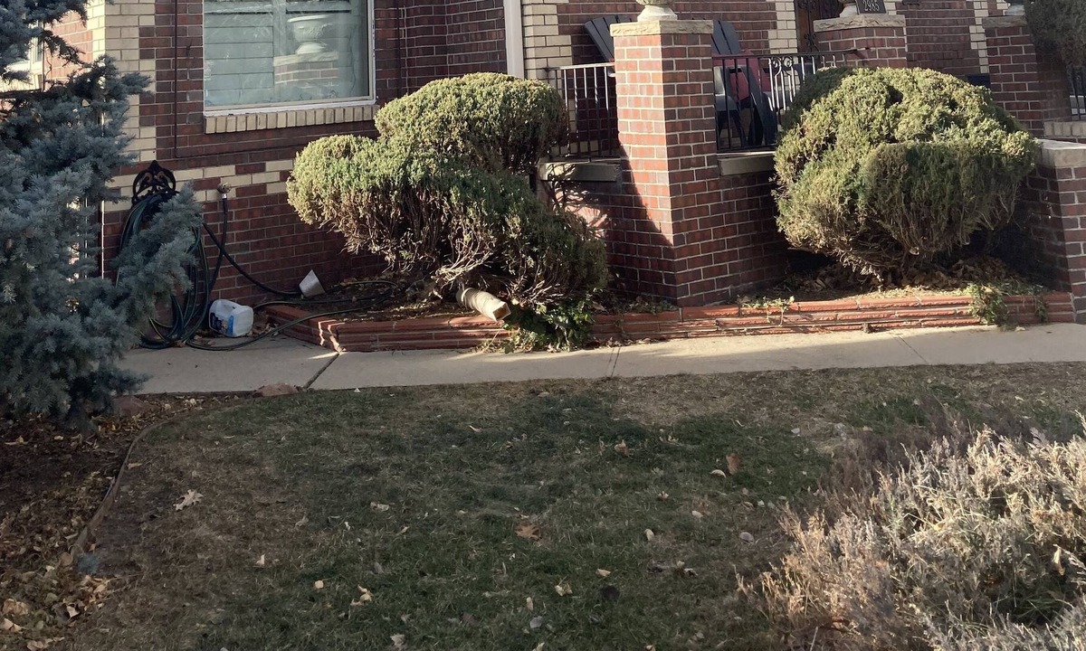 West Highland House | Denver Tudor Walk to great shops and restaurants 1.5 miles from downtown Denver