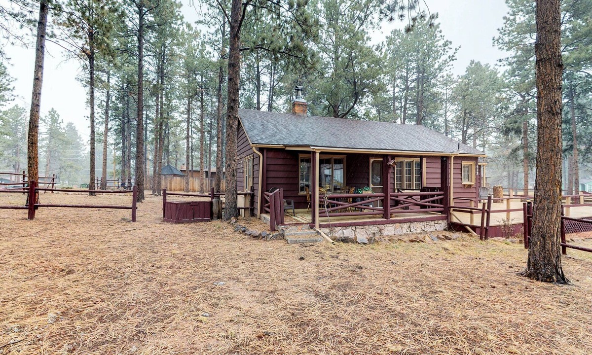 Woodland Park Cabin | Dog-friendly cabin w/full kitchen, free WiFi, great location & updated bathroom