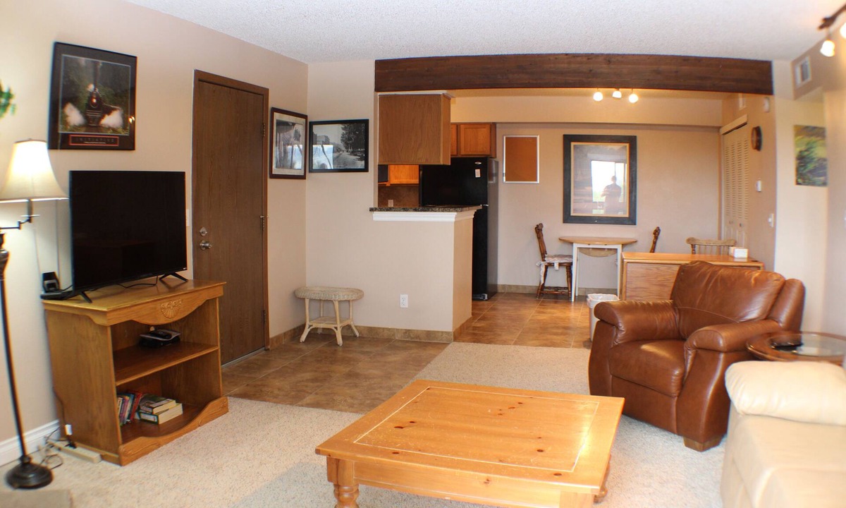 Union Square Condo | Executive, Fully Furnished, 3 month minimum or more Condo home, Very Nice!