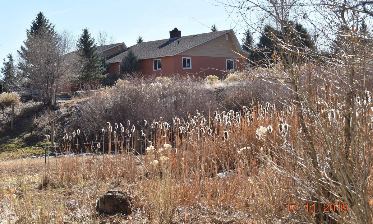 Salida Other | Heron's Landing: Walk to town from 17 acres of wildlife preserve