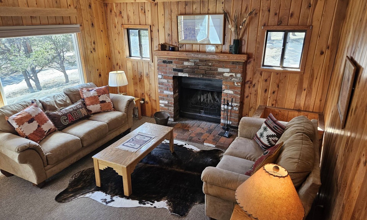 Nathrop Cabin | Iron City Cabin-Cozy Cabin with Hot Spring Fed Pool, Perfect for Families & Pets