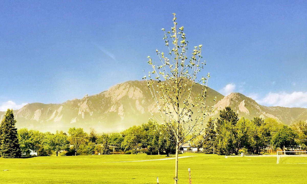 Martin Acres Condo | Mountain Access and close to CU Campus