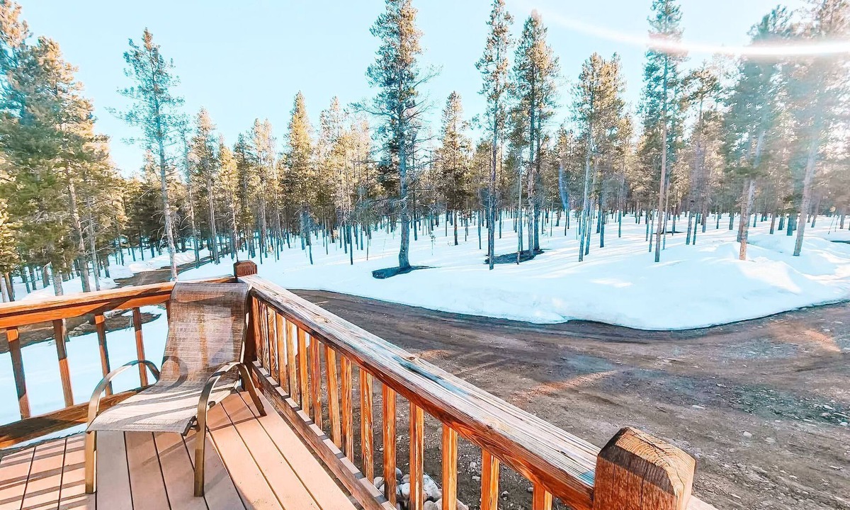 Leadville House | Pet Friendly Mtn Cabin on 40 Acres 2 King Beds