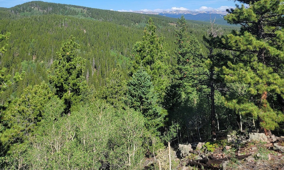 Black Hawk RV Rental | Quiet, Rural, Colorado Mountains Campground