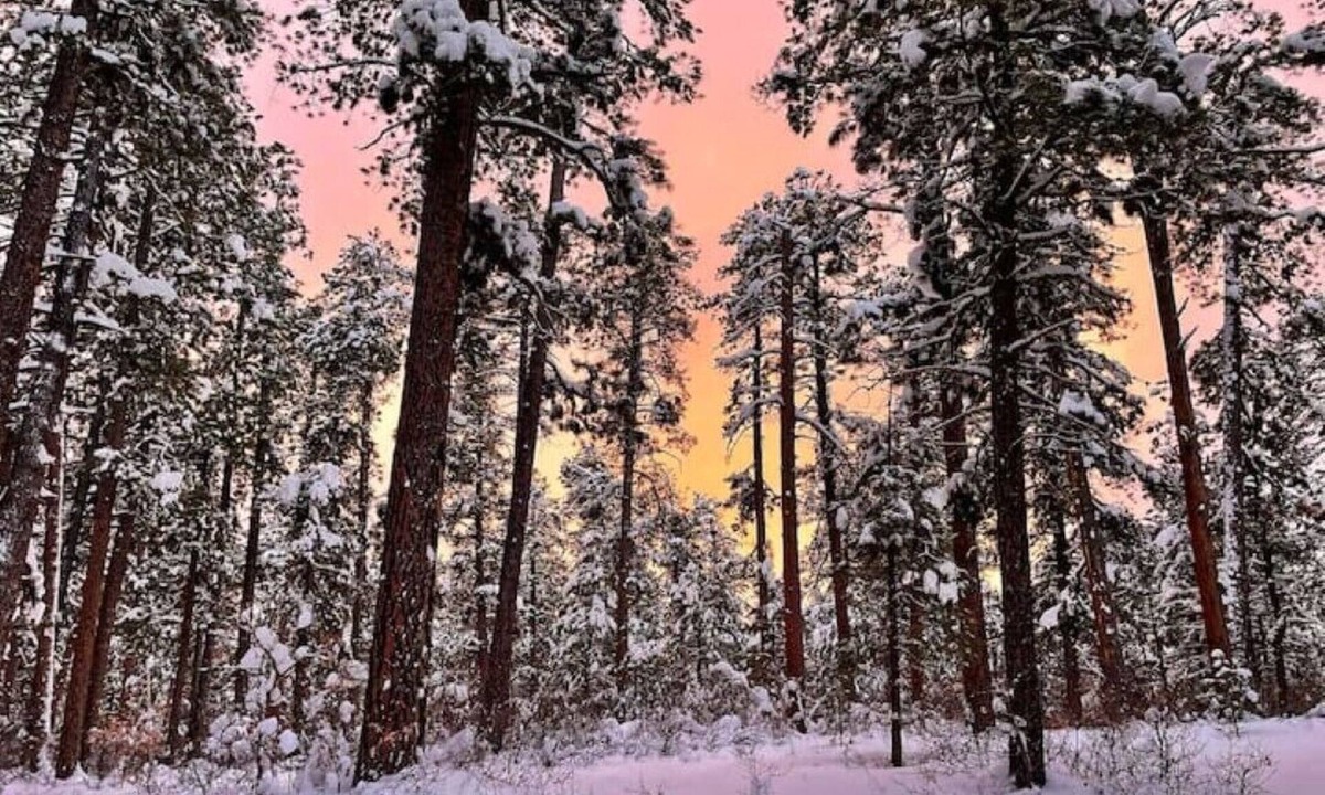 Pagosa Highlands House | San Juan Grand Retreat!