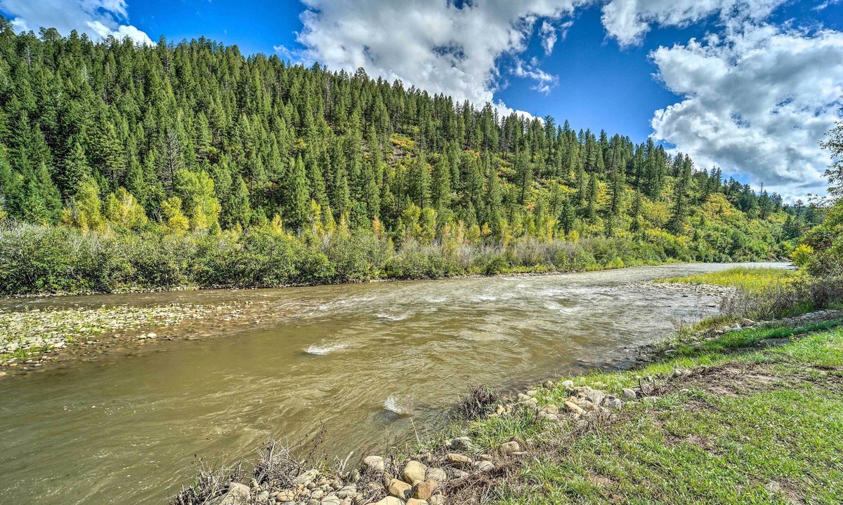 Dolores Cabin | Serene Dolores Cabin w/Patio & River Access!