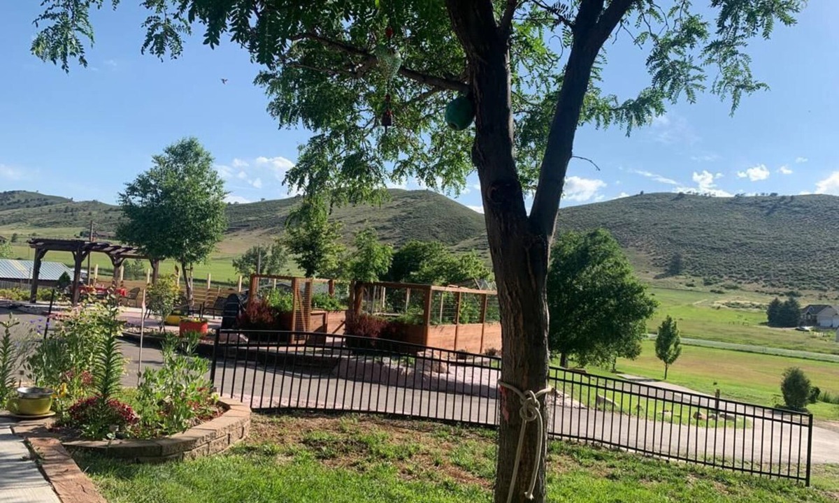 Loveland Cottage | Serene getaway nestled within beautiful Mountains with abundance of wildlife.