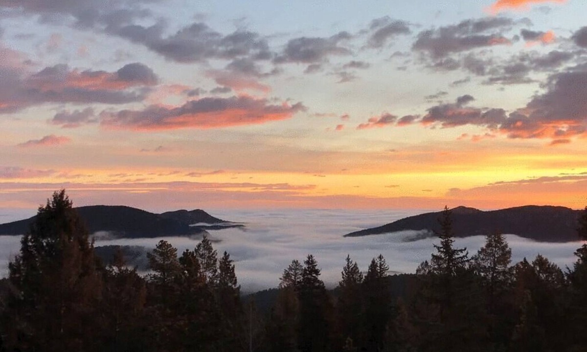 Conifer Mountain and Meadows House | Spacious Mountain Retreat - Nature, Solitude and Views!