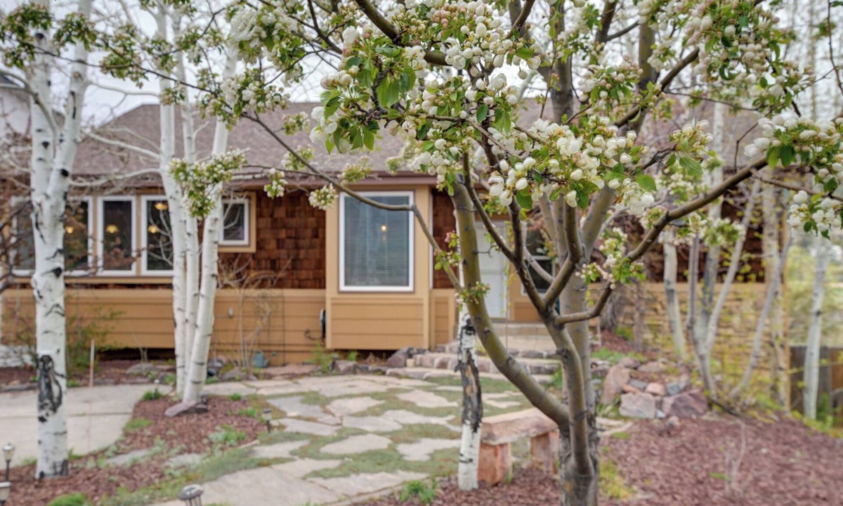 Palmer Lake House | Step inside our carefully crafted Oasis