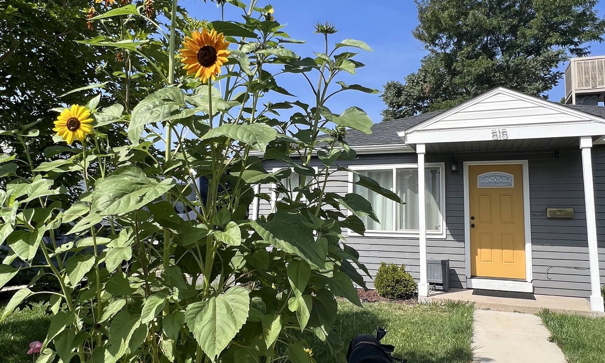 Athmar Park House | West Wash Park - 2 Bedroom w/large fenced backyard