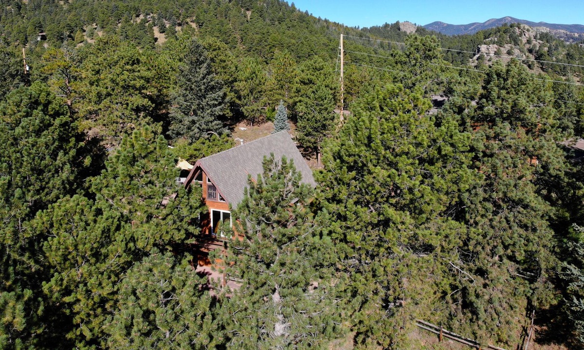 Evergreen House | Woodhaven Evergreen Retreat
