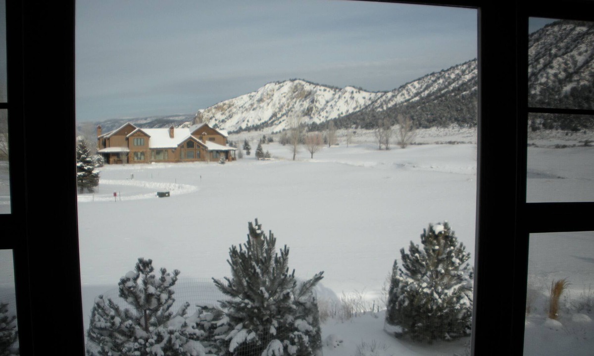 Carbondale House | You've Scored! Welcome to Paradise