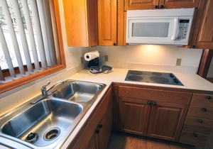 1 bedroom, 1 bath attached cabin, kitchen, wood burning fireplace
