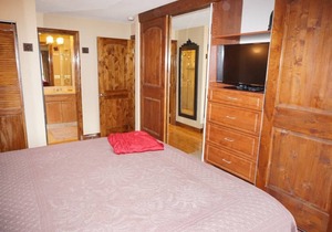100 Dean St E #2B (203060-4277) in Aspen