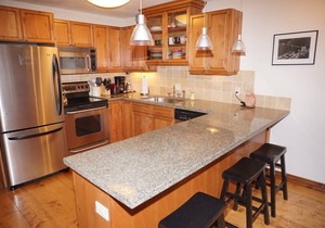 100 Dean St E #2B (203060-4277) in Aspen