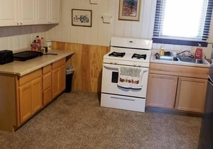 1929 Bonanza Log Cabin