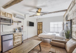 1BD Mtn View Ste, Hiking, Dogs Welcome!