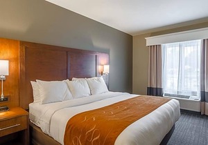 2-Star Hotel ∙ Comfort Suites Loveland