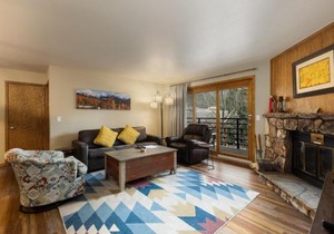309 Snowdance Manor condo