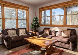 8750 Trappers Crossing condo