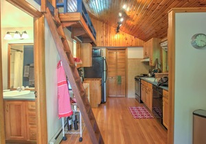 A hidden gem! Cabin nestled in the trees in Glenwood Springs.