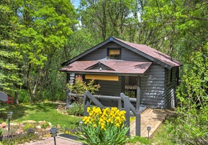 A hidden gem! Cabin nestled in the trees in Glenwood Springs.