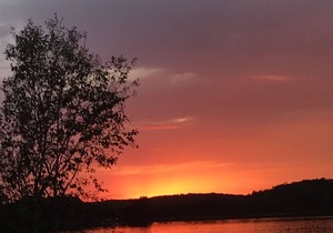 Algonquin Park Area Waterfront Cottage - Madawaska Ontario, Canada in South Algonquin