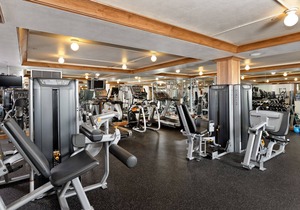 Aspen Alps - Studio with kitchenette and full bath -next to Aspen Mountain