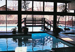 Beautiful 2 bedroom unit at resort, sleeps 6