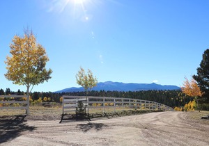 Beautiful Cabin on 35 Acres