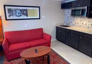 Bell & Main Studios 106