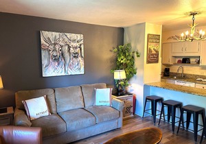 Bright, newly updated condo with river view off deck, close to the National Park