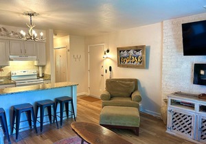 Bright, newly updated condo with river view off deck, close to the National Park
